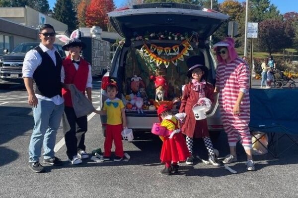 12 Gnomes in Wonderland