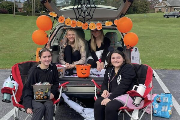 Pumpkins and spiders