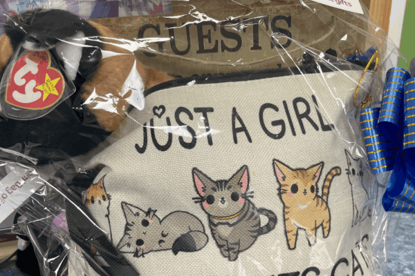 12 Just a girl who loves cats