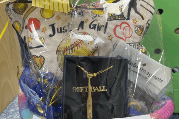 13 Just a girl who loves softball